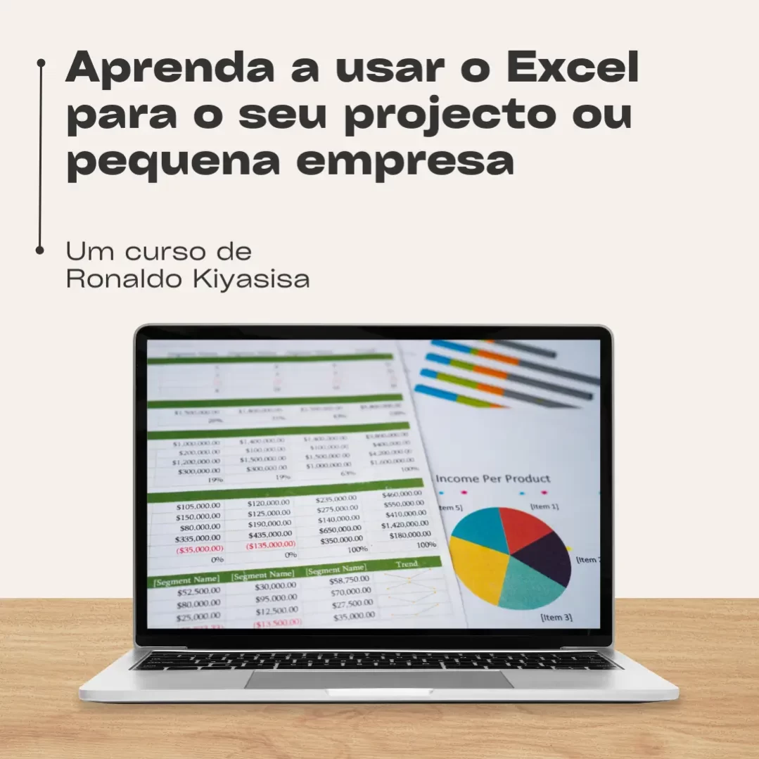 Aprenda a usar o excel para o seu projecto ou pequena empresa